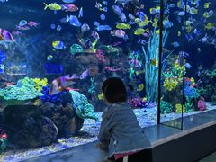 -台州海洋世界