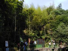 -众神白水涧景区