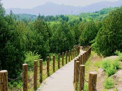 -白水寺森林公园