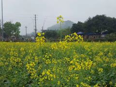 -红山村