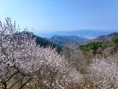 -天津盘山风景名胜区