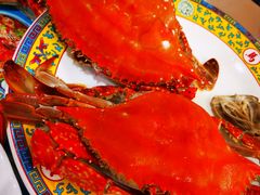 -清真老马家海鲜大排档(台东店)