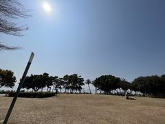 -深圳湾公园(南山区)