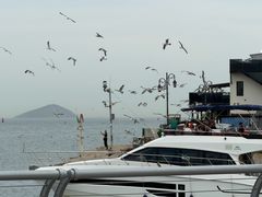 -东港音乐喷泉广场