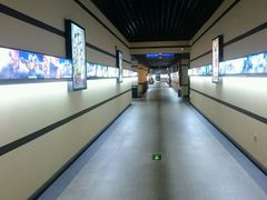 -华美国际影城(旧宫永辉店)