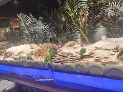 -海吃海喝海鲜烤肉炭火主题自助餐(朝阳店)