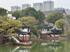 -八大山人梅湖景区