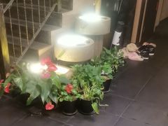 -升艾堂·经络·艾灸·气血(成山路店)