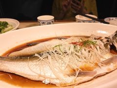 传统清蒸大白鱼-淮扬府(安定门店)