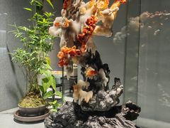 -云洲古玩城(大木桥路店)