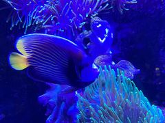 -太平洋海底世界