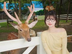 -云栖山谷野奢营地