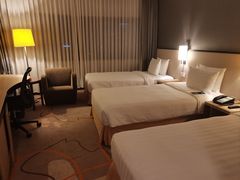 -新加坡雅庭假日酒店