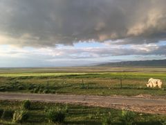 -青海湖国家重点风景名胜区