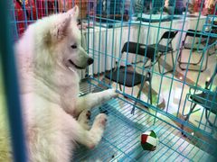 -万达广场(南京江宁店)