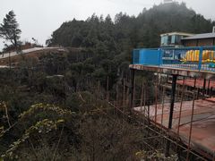 -梦幻奥陶纪景区