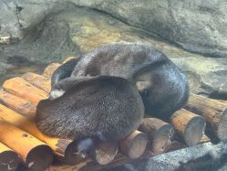 -Zoolung Zoolung动物主题公园(海信广场店)