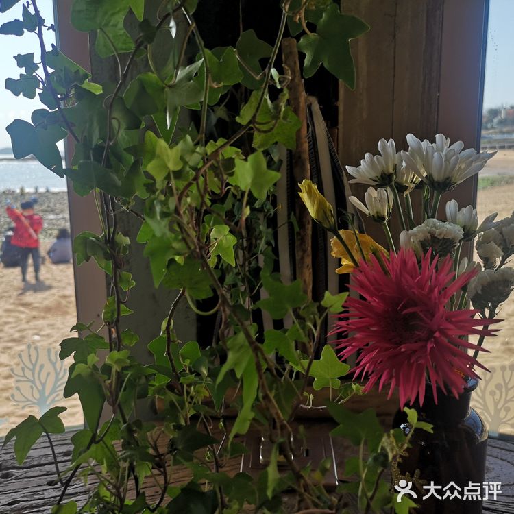 今天来到海边的安娜海景咖啡馆，阳光明媚的中午