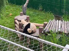 -沈阳森林动物园