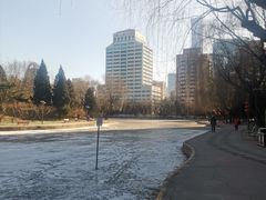 -团结湖公园