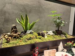-许家菜(DT51店)