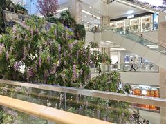 -赛格国际购物中心(小寨店)