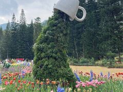 -深圳仙湖植物园