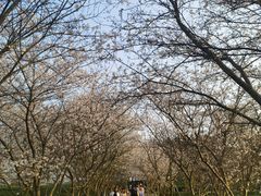 -凤凰沟景区