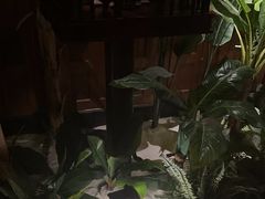 -紫莲花足道(柯桥古镇店)