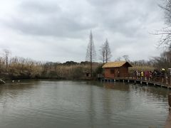 -溱湖国家湿地公园
