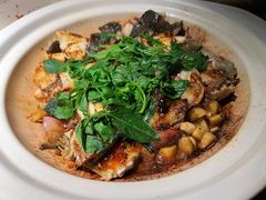 星洲黑胡椒焗多宝鱼-九月里.自由花园餐厅