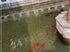 -麒麟小院·老九江菜(安平路店)
