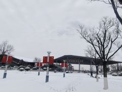 -九里湖国家湿地公园