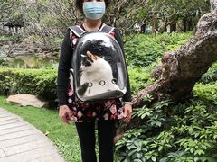 -芭比堂动物医院·心脏专科·夜诊·吉雅分院