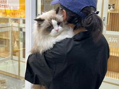 -爱洗澡的猫(天河路店)