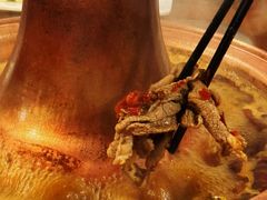 -前门杨记·铜锅涮肉(王府井·故宫店)