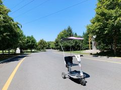 -长春世界雕塑园冰雪艺术天地