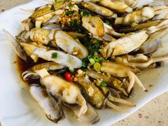 蛏子-原味蒸汽海鲜(嵊泗店)