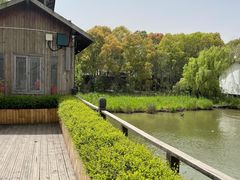 -溱湖国家湿地公园