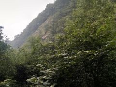 -洛阳白云山景区