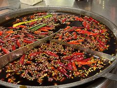 红汤锅底-菜园坝老火锅(金岛店)