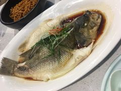 清蒸鲈鱼-十碗(保利店)