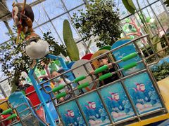 -南宫五洲植物乐园