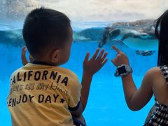 -帝企鹅自助餐厅•儿童岛•真企鹅(长隆企鹅酒店)