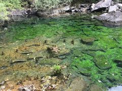 -叠溪松坪沟景区