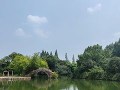 -乌镇景区