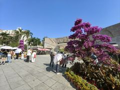 -厦门大学(思明校区)