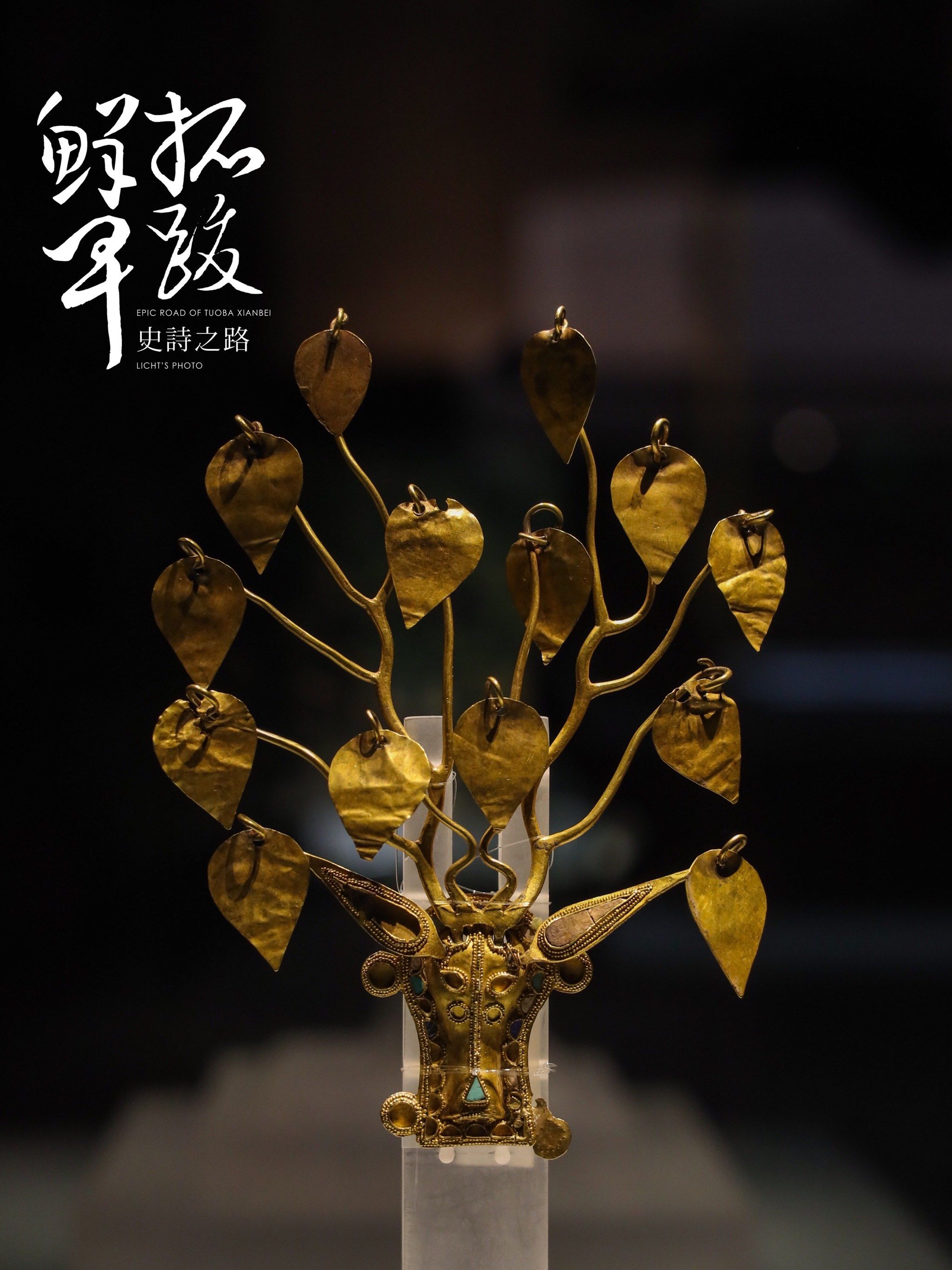 拓跋鲜卑史诗之路带你了解历史上的北魏