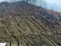 -六合国家地质公园桂子山景区