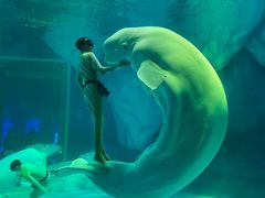 -上海海昌海洋公园-冰山北极馆